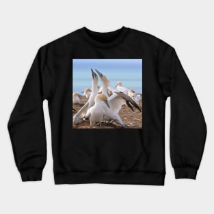 Gannets Crewneck Sweatshirt